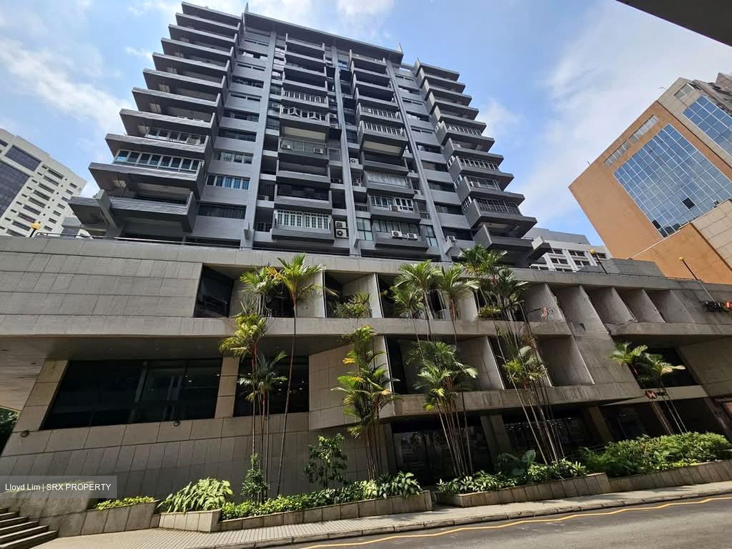 Claymore Plaza (D9), Apartment #565245781